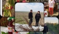 ZMEURĂ DIN “DUMBRAVA” MINUNATĂ DE LA COBADIN
