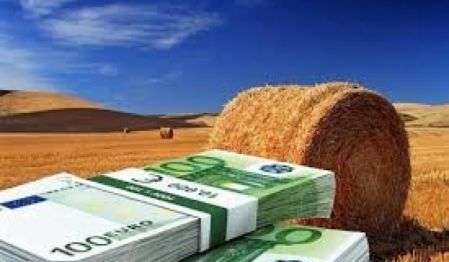 Do you need a cash? Do you need financial help