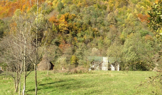 Sursa foto: www.101stiri.ro-Grațiela GHEORGHE CARAGICU  Undeva în Oltenia