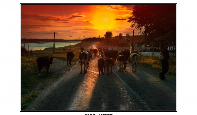 Sursa foto: Bebe PITEI  Lucrare de Bebe Pitei, „Colb auriu”