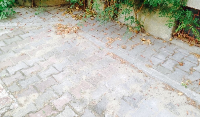 Iulie 2019: Vă place cum arată Universitatea 