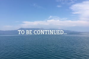 TO BE CONTINUED...