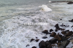 TO BE CONTINUED...
