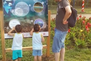 Ziua Delfinului, sărbătorită în Parcul Tăbăcărie printr-o expoziție